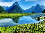 Milford sound fiord, New Zealand