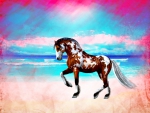 Beach Horse