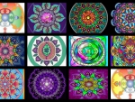 Collage of mandalas