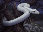 White snake