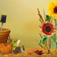 Autumn Bright Colors