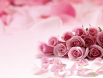 Pink Roses