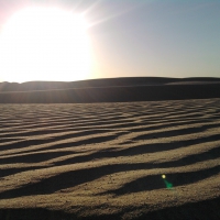 Desert sand waves