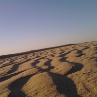 Desert Sand waves