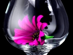 Secret Garden in a Glass