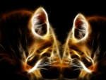 Fractal Kittens