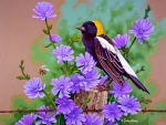 Bobolink