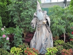 The Wizard of the Garden