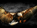 Bald Eagle Work of Art