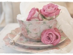 pink roses in teacup