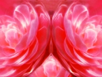 Fractal Rose Collage ~ For Exotica