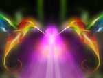 Hummingbirds Fantasy