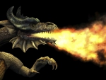 Dragon Fire