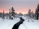 beautiful river in winter