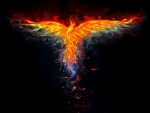 'Wings Flames Emerge'