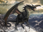 Black Dragon