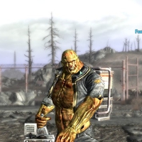 Fallout 3 Fawkes