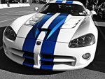 viper