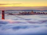 San Franciso Fog