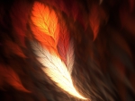 phoenix feather