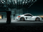 2013 Porsche Cayman by TechArt