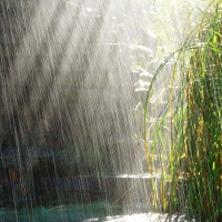 raining with sunlight