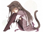 akemi homura catgirl