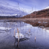 frozen lake on a winter day