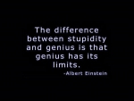 Stupidity and genius