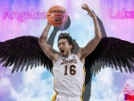Pau Gasol