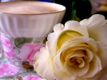Cup and  beautiful roses