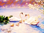 Swan Family