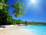 tropical beach