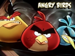 ANGRY BIRDS