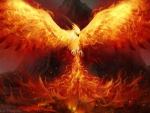 The Phoenix