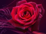  ~âœ¿~Velvet Romance in Red and Purple~âœ¿~  Dedicated to HopelessRomantic