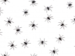 Spiders!