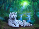 ..Family of White Tigers..