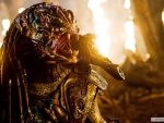 PREDATOR 2010