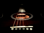Acoustic Guitar