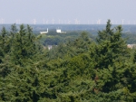 The Forest Tower, Mills on the Horizon