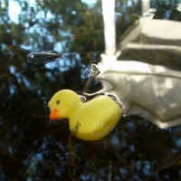 Believe Rubber Ducky