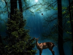 Twilight in the Forest