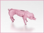 My piggy bank