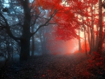 Misty red