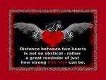 Distance Between Us