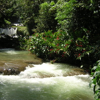 Jamaica YS waterfalls