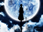 shadow rukia