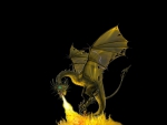 Yellow Dragon