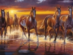 Horses at Sunset